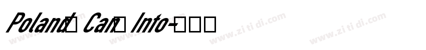 Poland Can Into字体转换